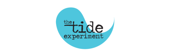 The TIDE Experiment